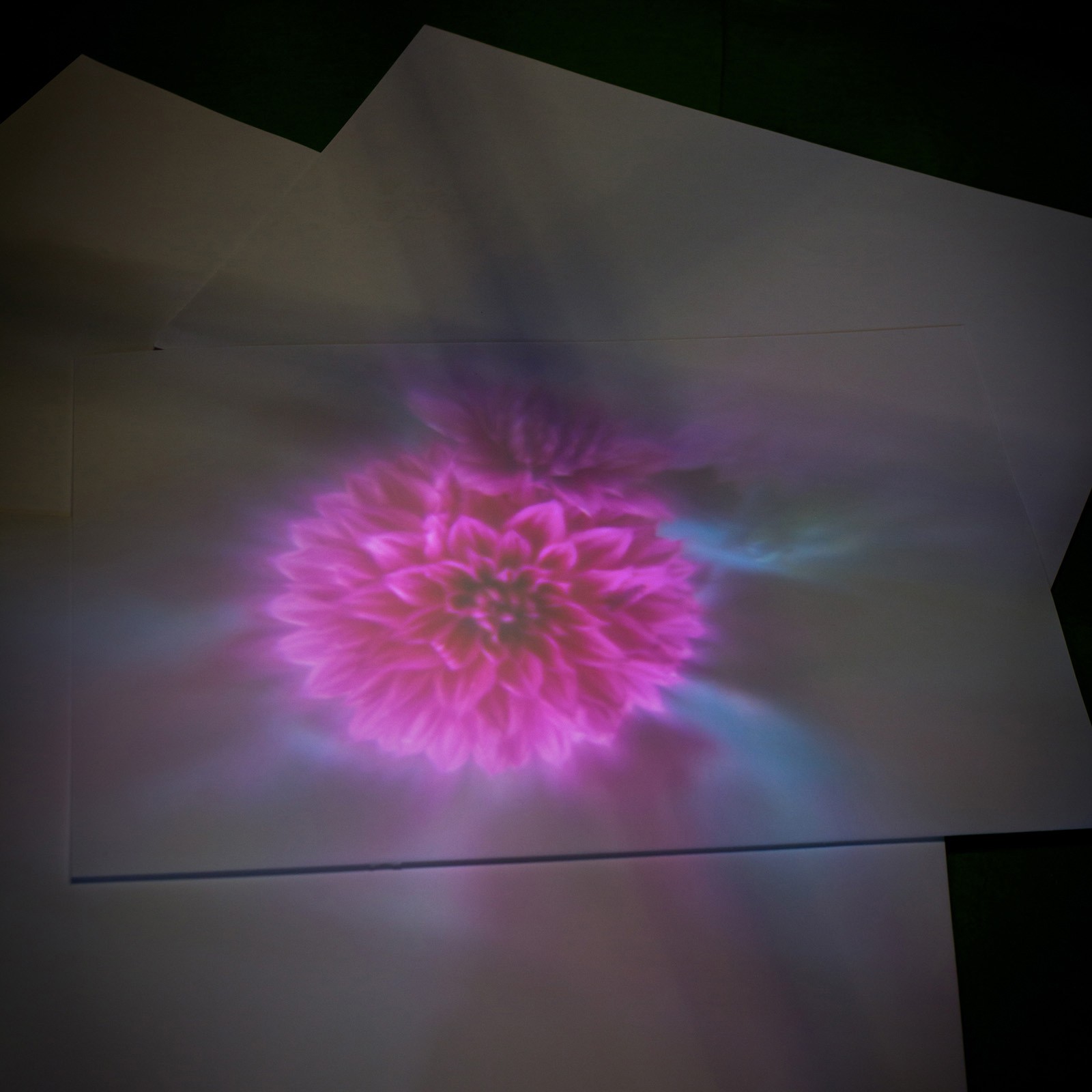 Hillsideout - Colored Blooming Skyline Lamp - Charcoal-Grey Hillsideout - Colored Blooming Skyline Lamp - Charcoal-Grey