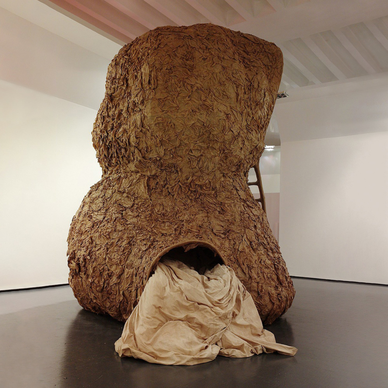 Nacho Carbonell - KAMA Unknown Shell
