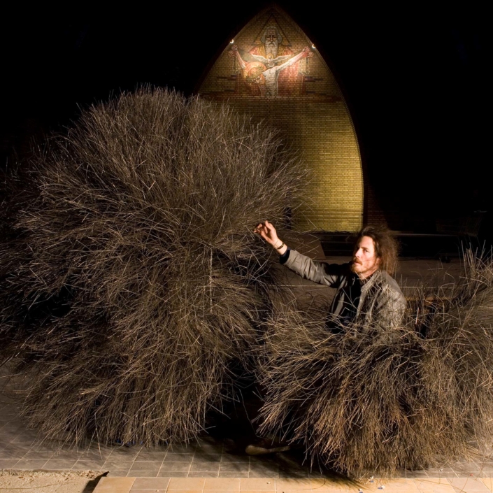 Nacho Carbonell - Diversity N° 18 - Bush of Iron