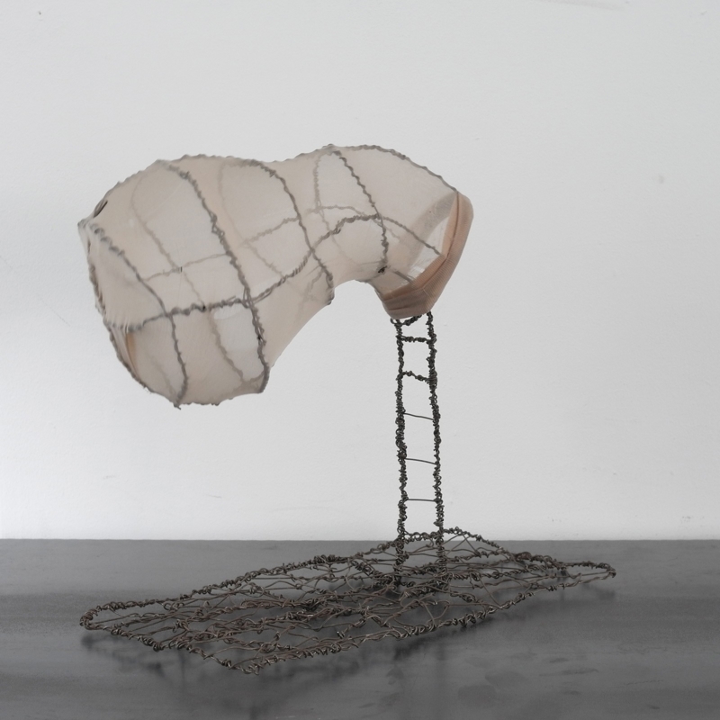 Nacho Carbonell - Study TRS01