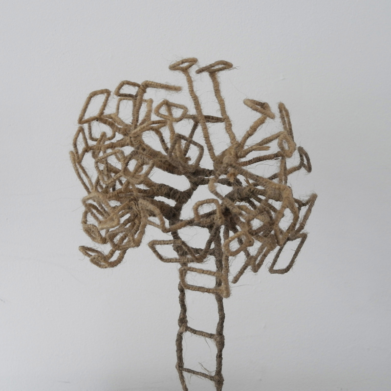 Nacho Carbonell - Study N° 3