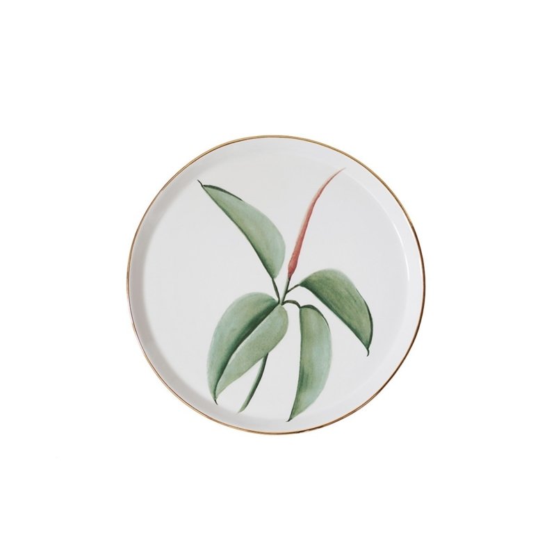 Benedetto Fasciana - P4 - Il ficus di Cefalù