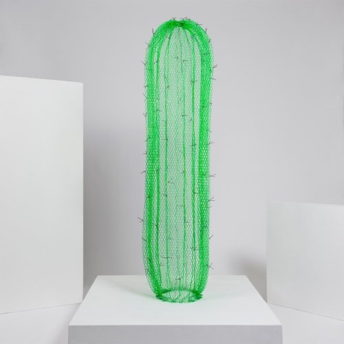 Benedetta Mori Ubaldini - Tall green cactus