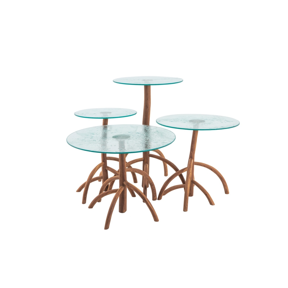Cypraea - Mangrovia Low Table Walnut set