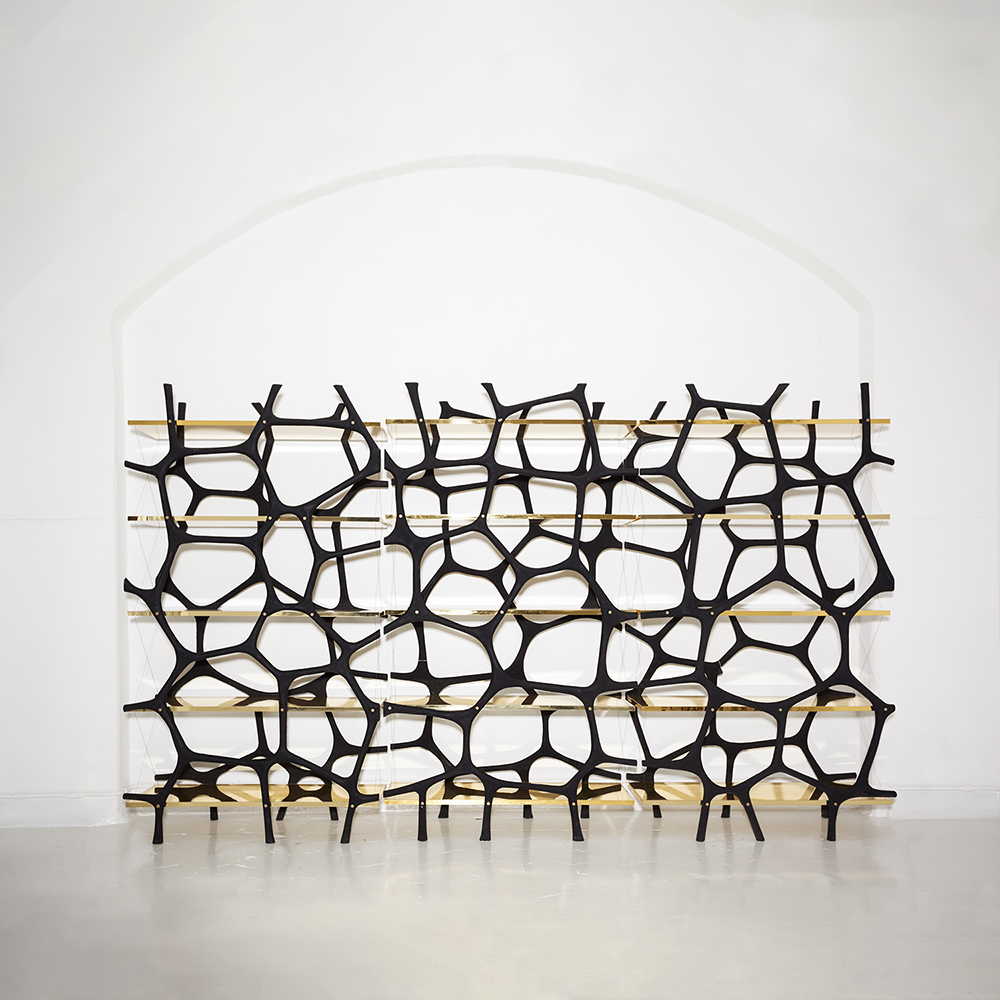 Cypraea - Aqua Shelf Gold