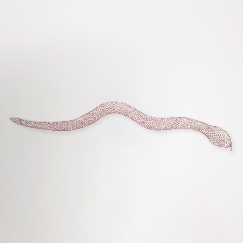 Benedetta Mori Ubaldini - Pink Snake
