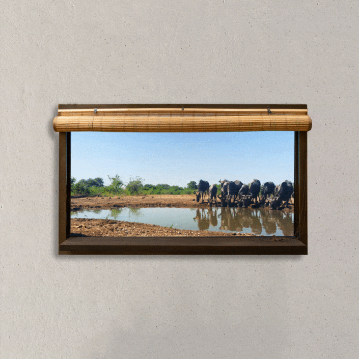 ANOTHERVIEW No 24 Botswana from a Hiden In the wild at Mashatu