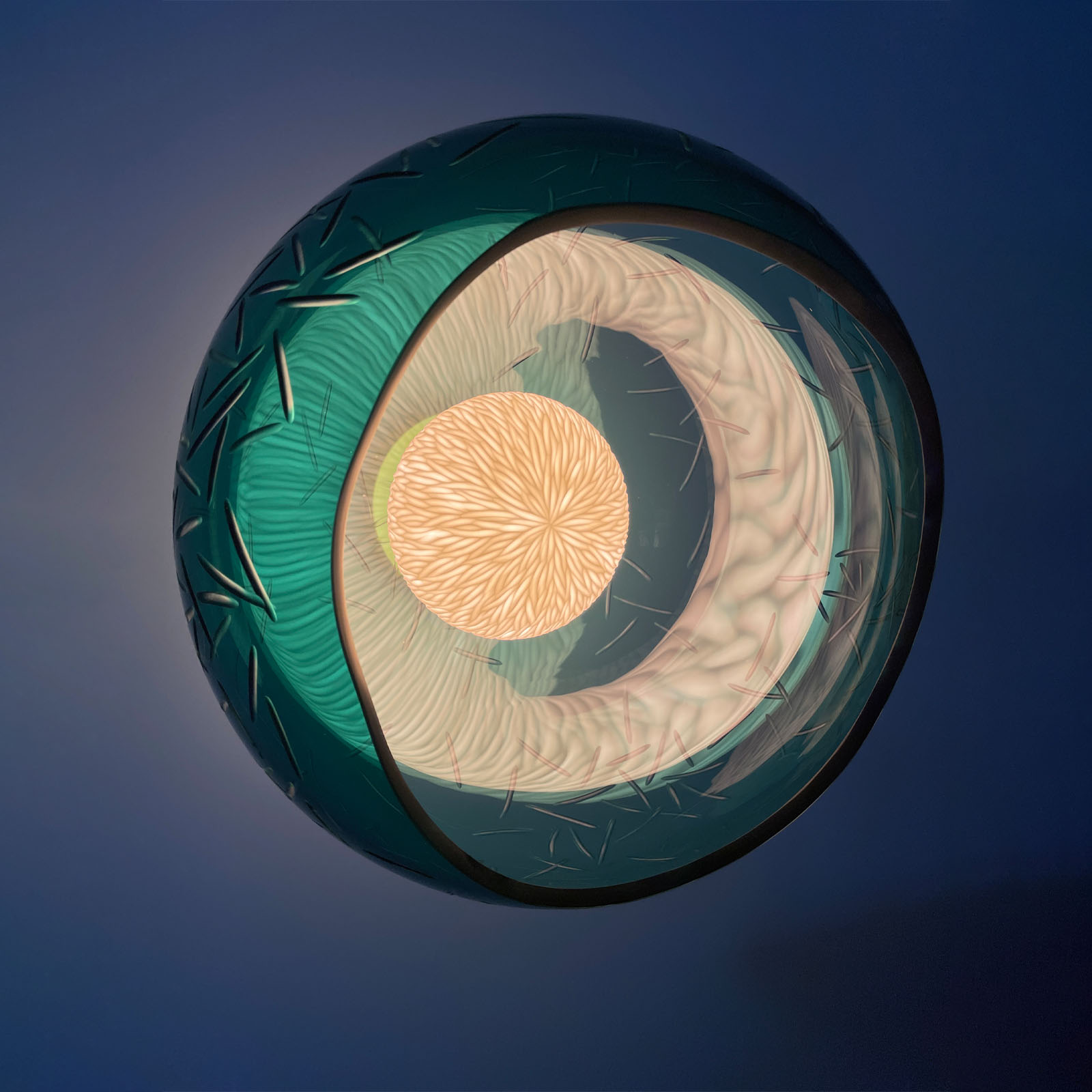 Vezzini & Chen - Olea II