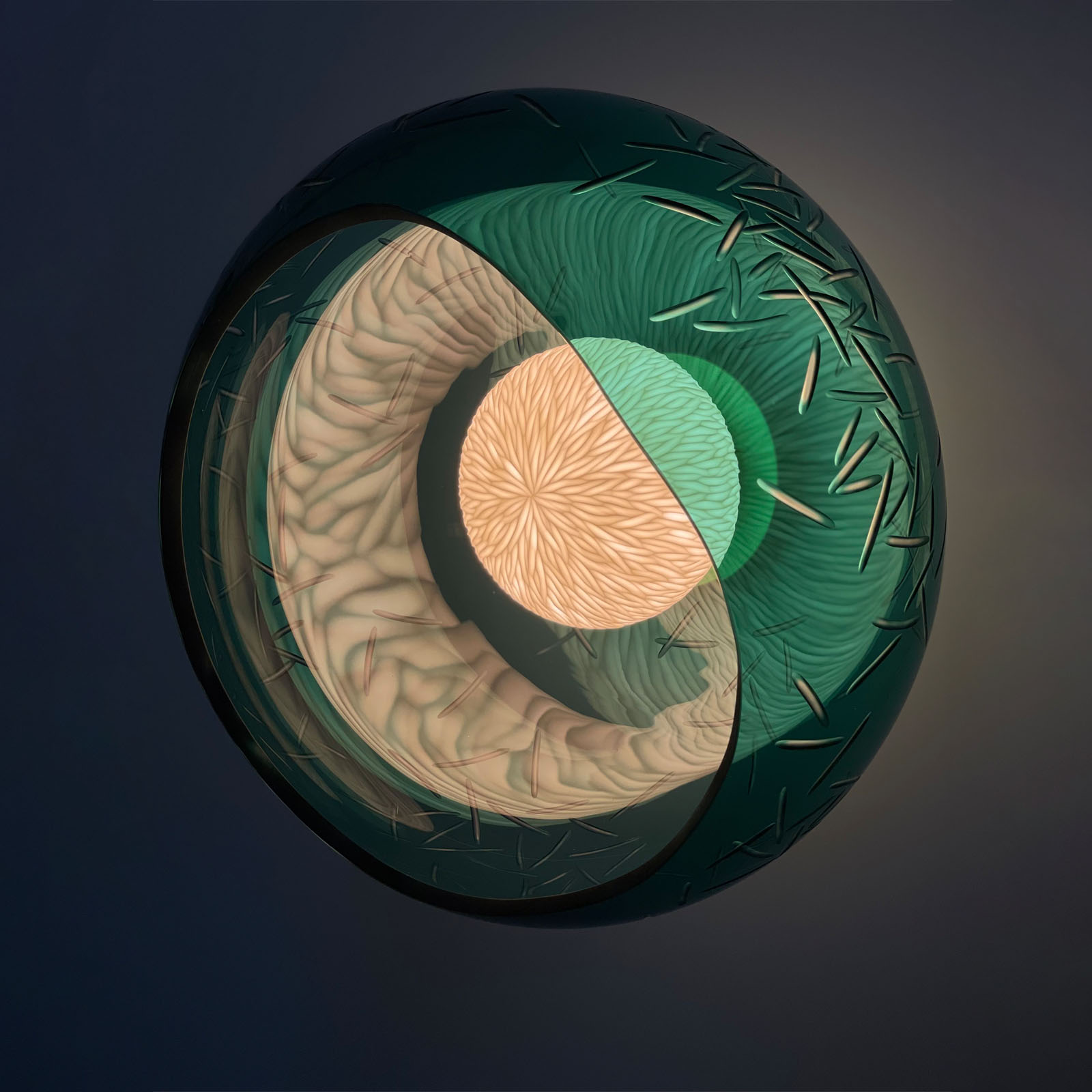 Vezzini & Chen - Olea II