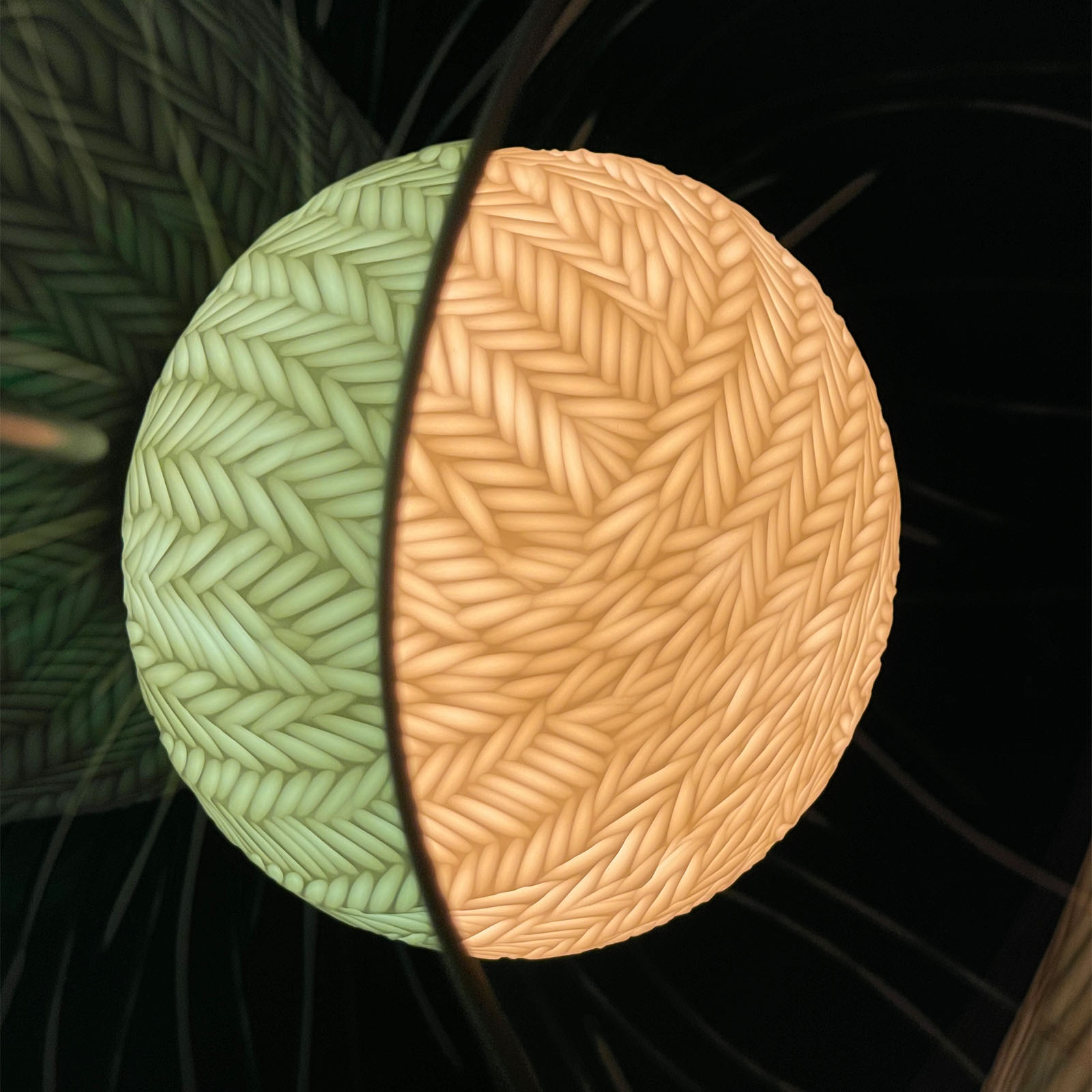 Vezzini & Chen - Olea III