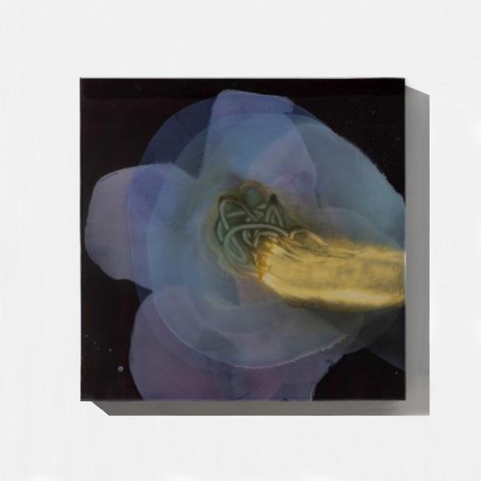 Aurel K. Basedow - AKB_25_54