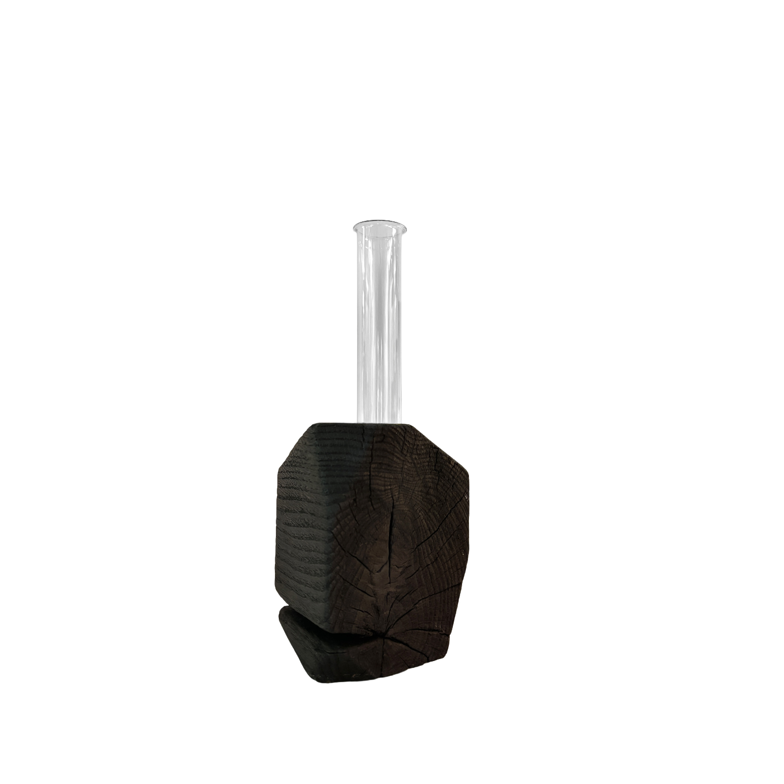 Michaela Vrbkova - vase SYMBIONT 04