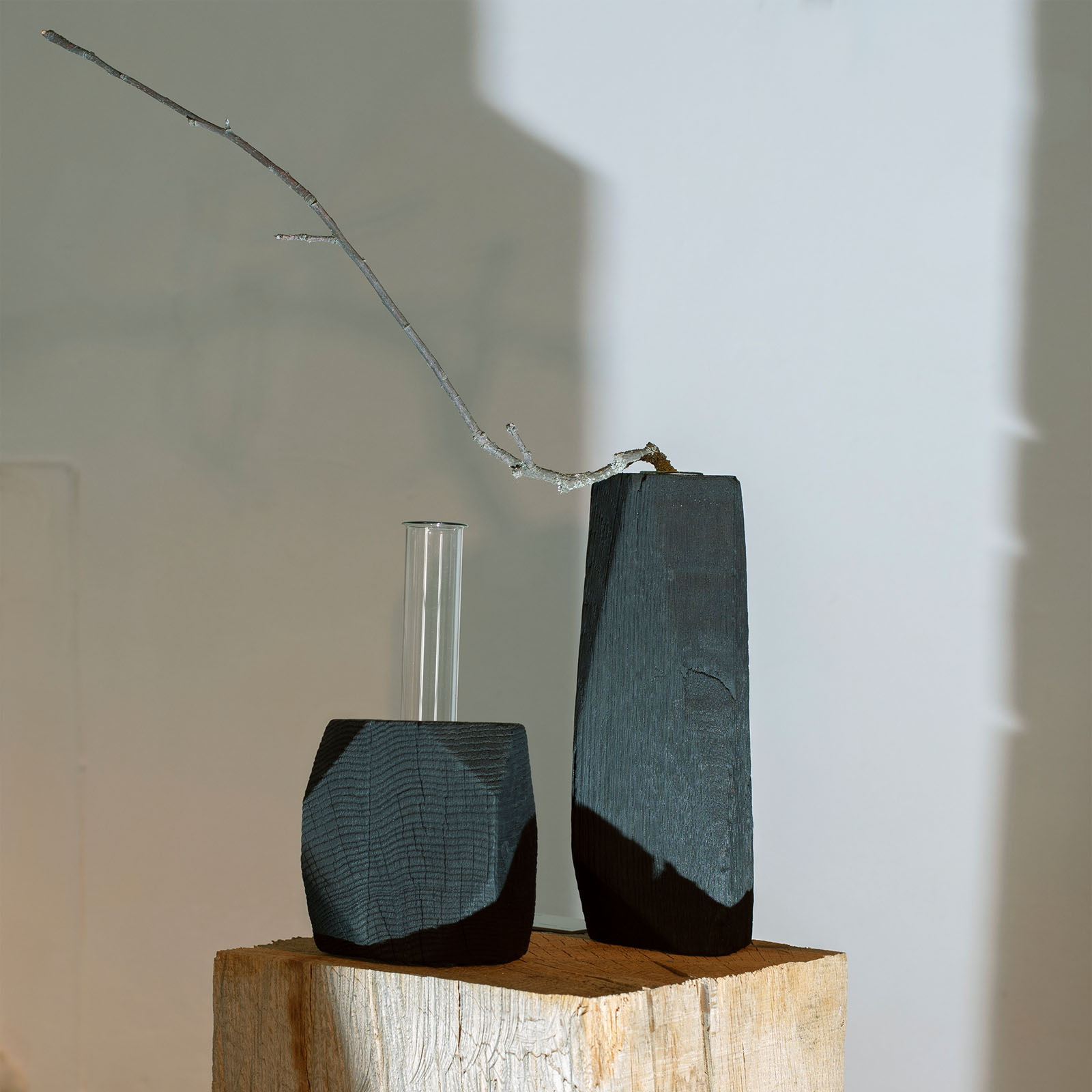 Michaela Vrbkova - vase SYMBIONT 04