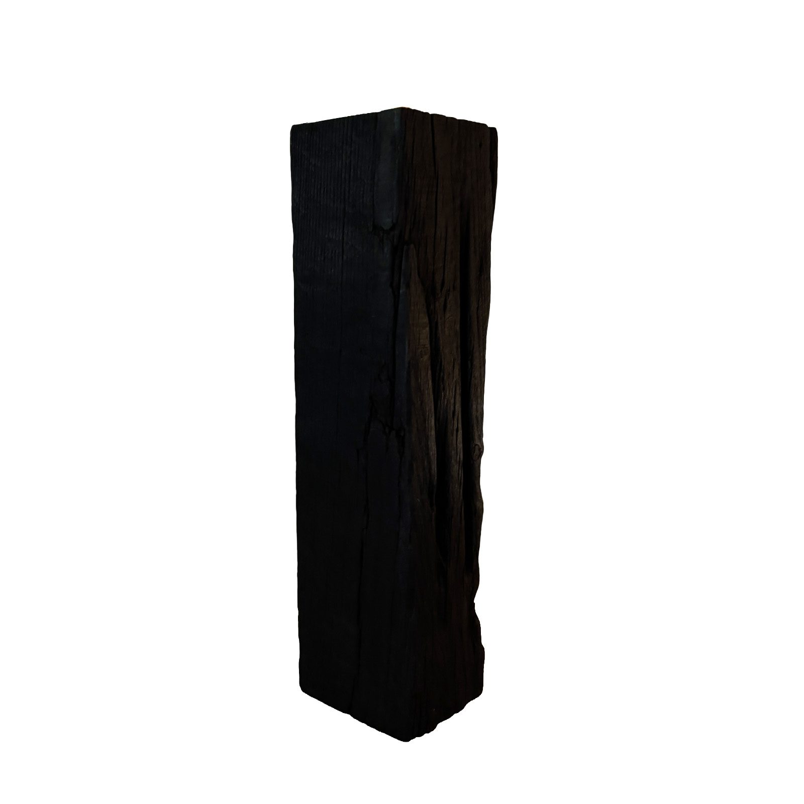 Michaela Vrbkova - vase SYMBIONT 17